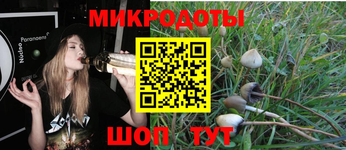 Псилоцибиновые грибы MAGIC MUSHROOMS Новозыбков